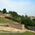 Kalemegdan Fortress